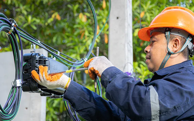 Fiber Pathway